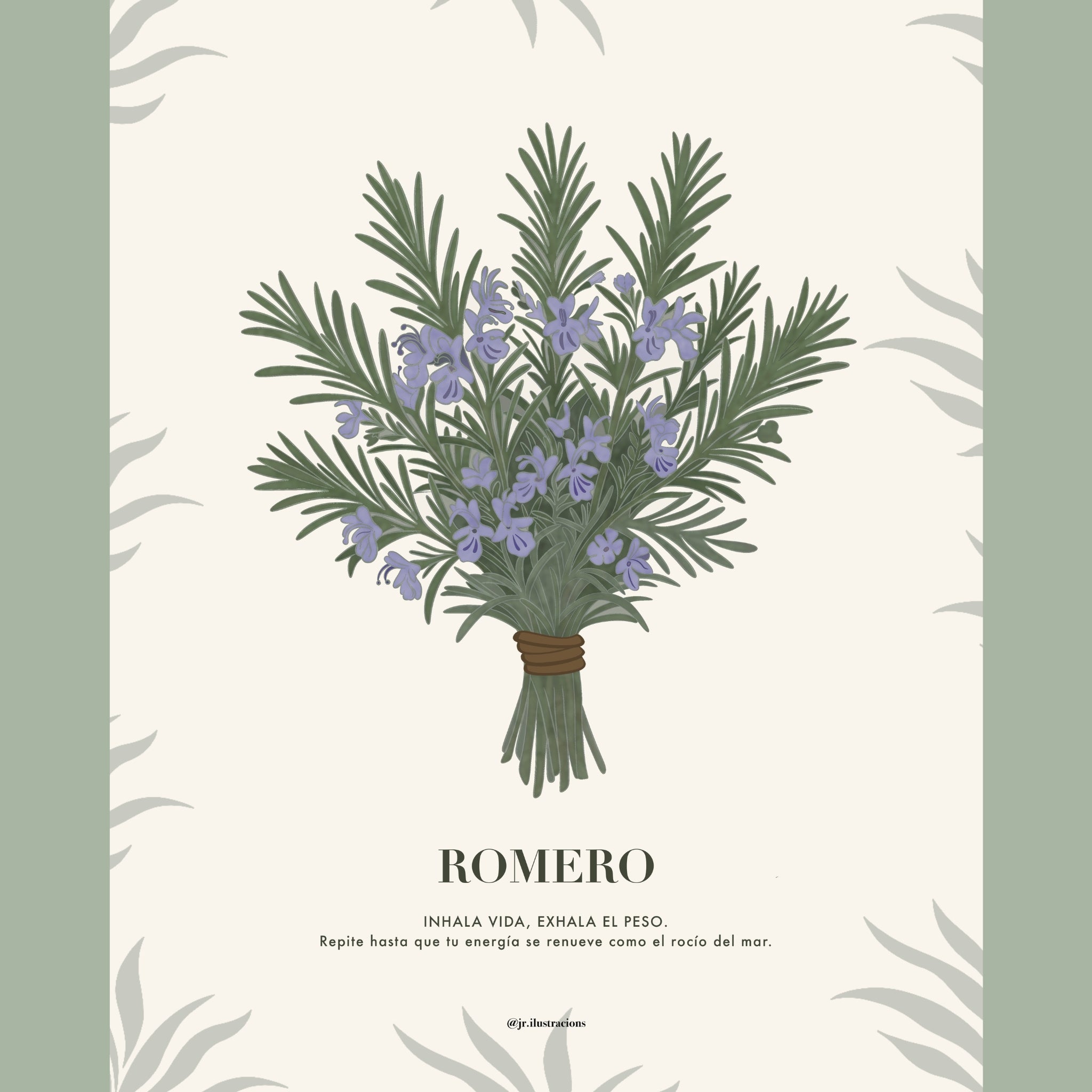 Diseño digital de lámina de romero minimalista con ilustración botánica y fondo de grano fino.